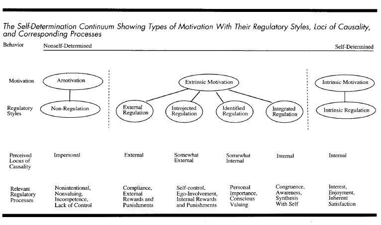 The Self-Determination Continuum